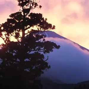 Ryokan Hananoyado Fukuya Hakone
