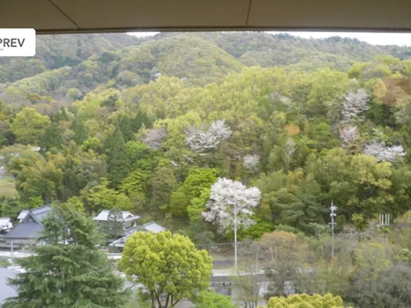 Ryokan Fushioukaku Ikeda  3*, Ikeda (Osaka) Japan